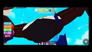 делаю Rebirth в Симуляторе качка 2 в конце Promo code (!_?)