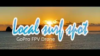 🌴Local surf spot | FPV Drone Freestyle | GoPro