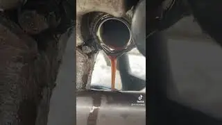 Oil Change Short And Simple #bike #oilchange #shorts #motorcycle #motor #diy #aprilia