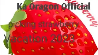strawberry picking/raw video