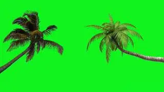 Set of Trees Animation | Green Screen HD