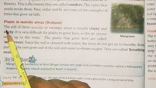 Class -4 | Science | Chapter 2 | Adaptations In Plants (Part-2)