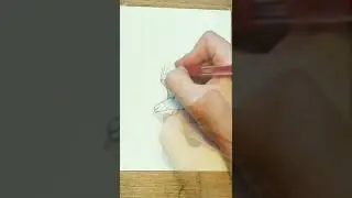Рисуем вместе орла