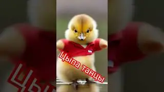 цыпленок танцует под мега хит