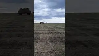 8 октября 2023 г.