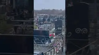 мишка на севере