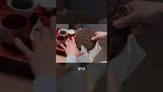 Ты точно улетишь от этого чая! Топ 3 чая по воздействию в видео 