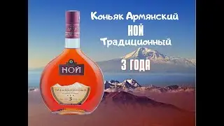Коньяк НОЙ Традиционный 3 года