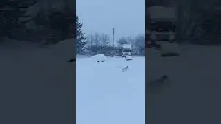 снег и метель в деревне окунево