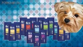 Корм для собак Brit | Виды | Отзывы | Характеристики.