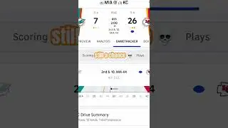 Dolphins Got a Chance!!! 🐬 #shorts