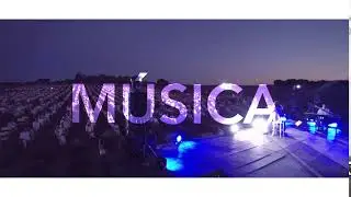 Festival de la Lavanda 2019 10"