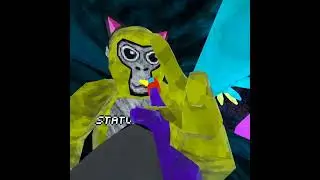 my first VR vid