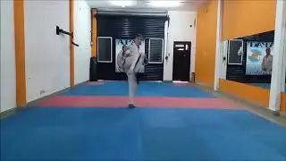Arístides Palópoli. Moon moo y Sam il