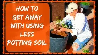 Container Planting Trick For Saving Money On Potting Soil