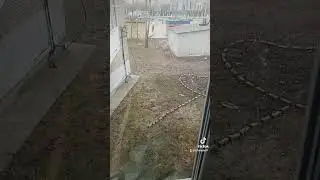 #юмор