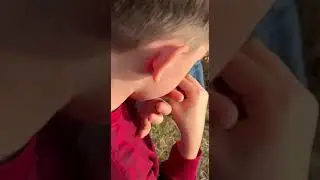 Рибалка