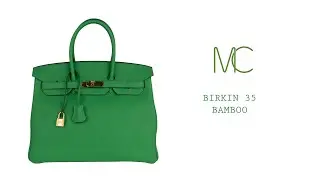 Hermes Birkin 35 Bag Bamboo Palladium Hardware Togo Leather • MIGHTYCHIC •