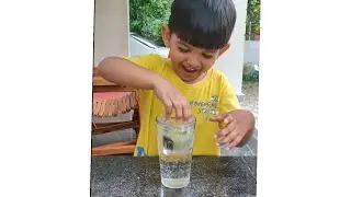 Fuljar soda re-loading/sayus world ✨️