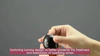Premium Wine and Champagne Bottle Stoppers, Silicone Caps Sealer (Pack of 2)