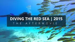 Diving the red sea | The Aftermovie (GoPro)
