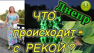 🤢ДНЕПР 🆘ЧТО происходит С РЕКОЙ ❎🆘25 июля 2024 г.