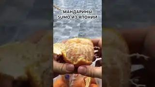 ЛУЧШИЕ МАНДАРИНЫ В МИРЕ! 