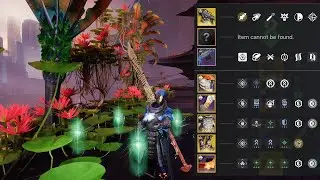 The Week 1 Strand Warlock Build