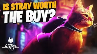 Stray Game Review: Is it WORTH the BUY?
