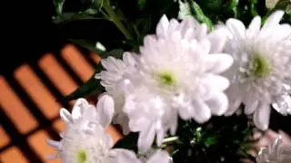 Тестовое видео с Fujifilm X-E2