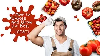 How to Choose and Grow the Best Tomatoes
