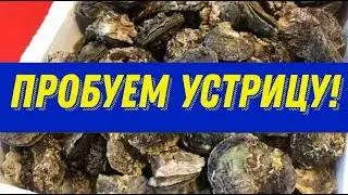 Рыбный рынок в Стамбуле / Karakoy Fish House / Морепродукты в Стамбуле