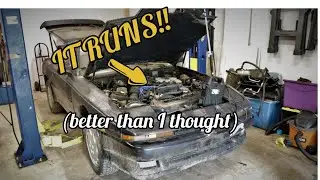 Old Supra Runs After Sitting for Years