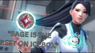 WHY SAGE IS THE BEST ON ICEBOX | LFT MindSett