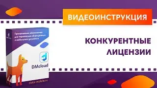 DataMobile 3: Конкурентные лицензии