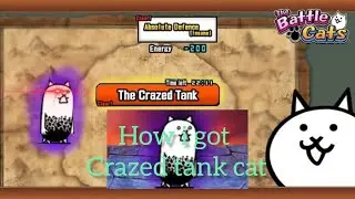 HOW I GOT my own CRAZED TANK CAT | Battle Cats