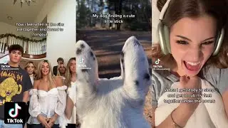 happy happy happy TikTok