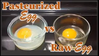 How to pasteurize eggs (EASY) | Pasteurizing food to make it safe to eat | Sous Vide Pasteurizing