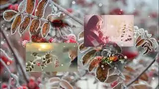 Сладкий сок рябины(Дуэт)