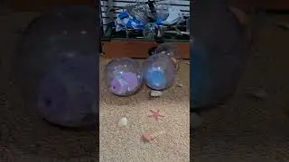 4 хомячка Hamster mania