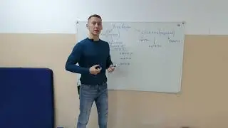 Углеводы. Виды углеводов и их функции. Продукты питания которые содержат простые и сложные углеводы