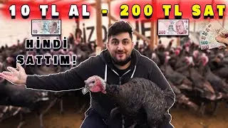 HİNDİ SATARAK PARA KAZANMAK! - Ne Kadar Kazandım?