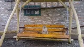 Качель в Саду для часного дома