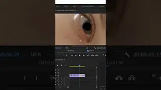 Eyes zoom effect in premiere pro |eyes motions effect 