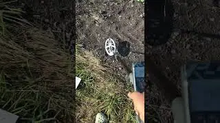 Який металошукач ТОП 1 - Розпізнавання металів та Розділення. Тест Deus блондинок: кругла і овальна.