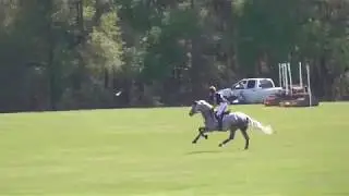 Liz Halliday Sharp & Cooley Quicksilver  AI XC