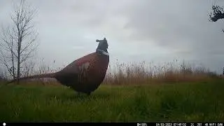 Lekker nieuwsgierig
