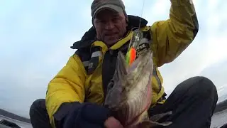 Gladyshevskoye Lake. Fishing trip, December 5, 2025.