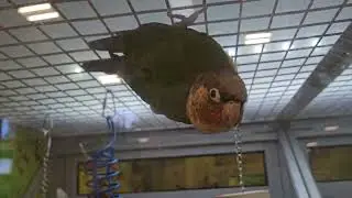 Cool bird.