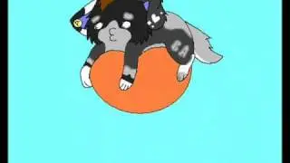 Bounce with me!